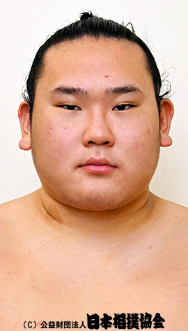 Daishoheki
